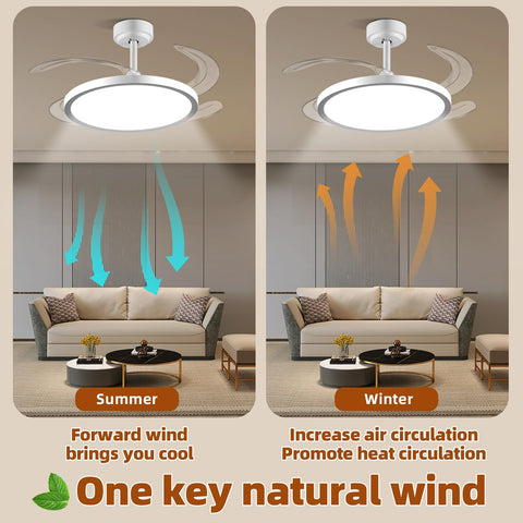 Baysquirrel Slim retractable fan offering six speeds for versatile living room comfort.