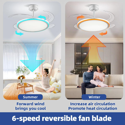 Reverse rotation supports year-round airflow in living areas.