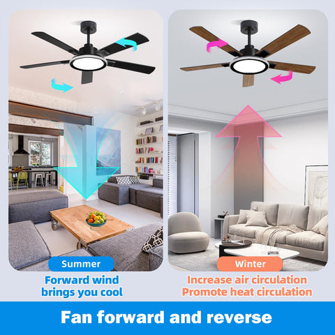BAYSQUIRREL ultra-thin 1.2-inch profile fits low ceilings.