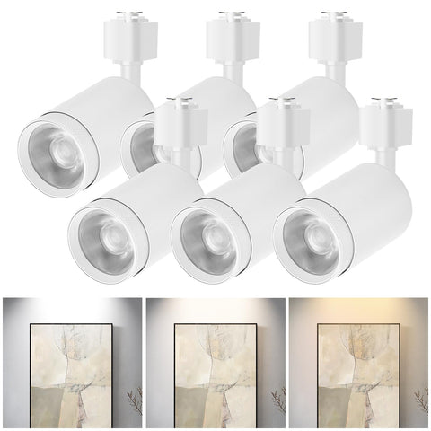 Be Studied ceiling track head spotlight with adjustable beam for artwork displays.