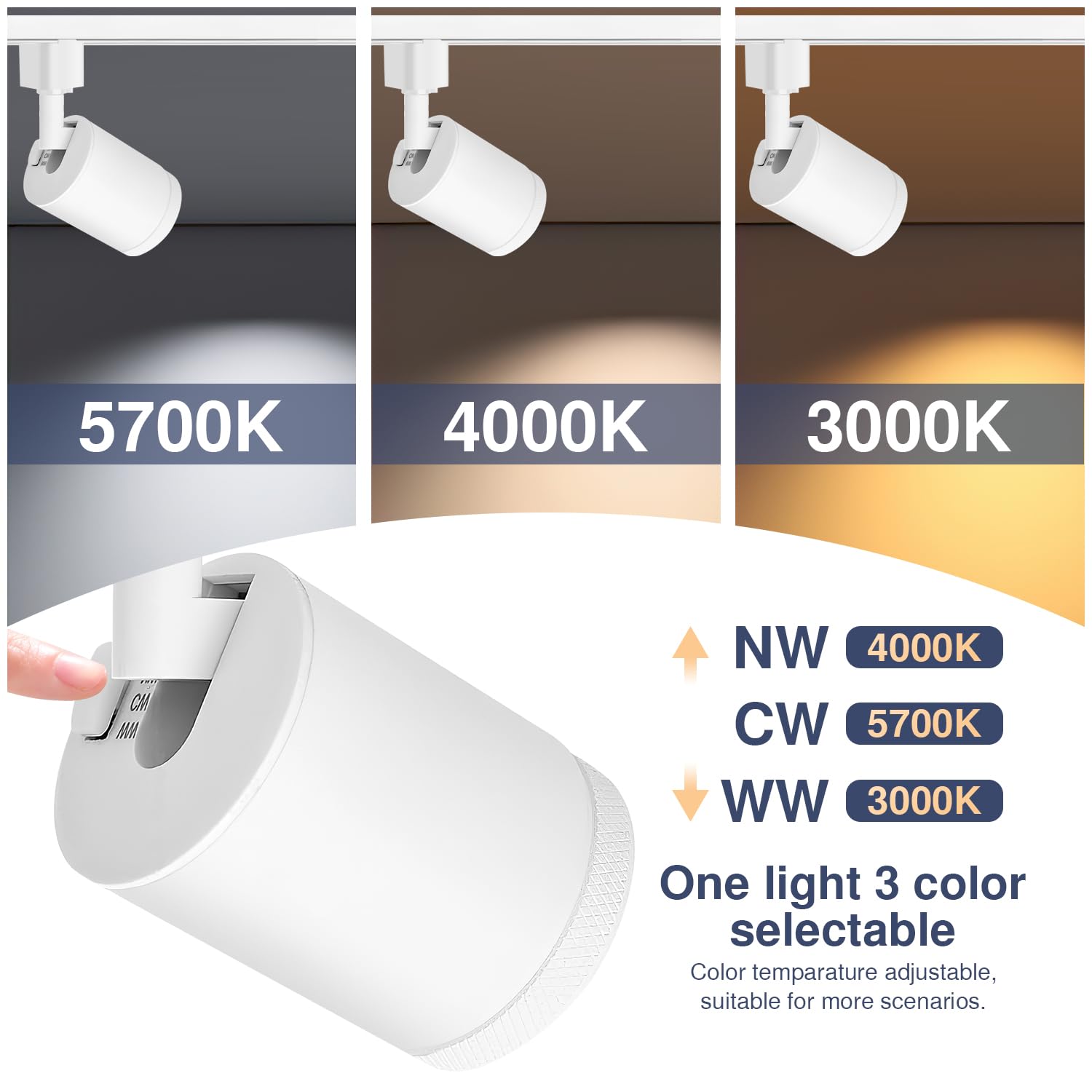 Be Studied white track fixtures blending with modern interiors while delivering focused light.