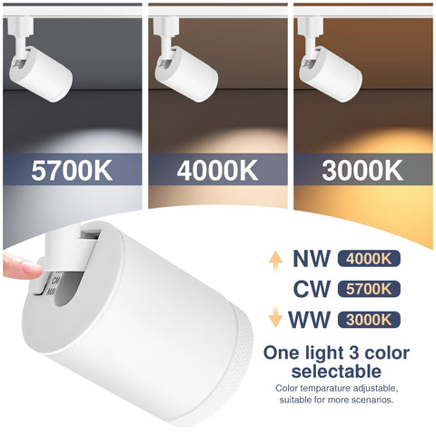 Be Studied white track fixtures blending with modern interiors while delivering focused light.