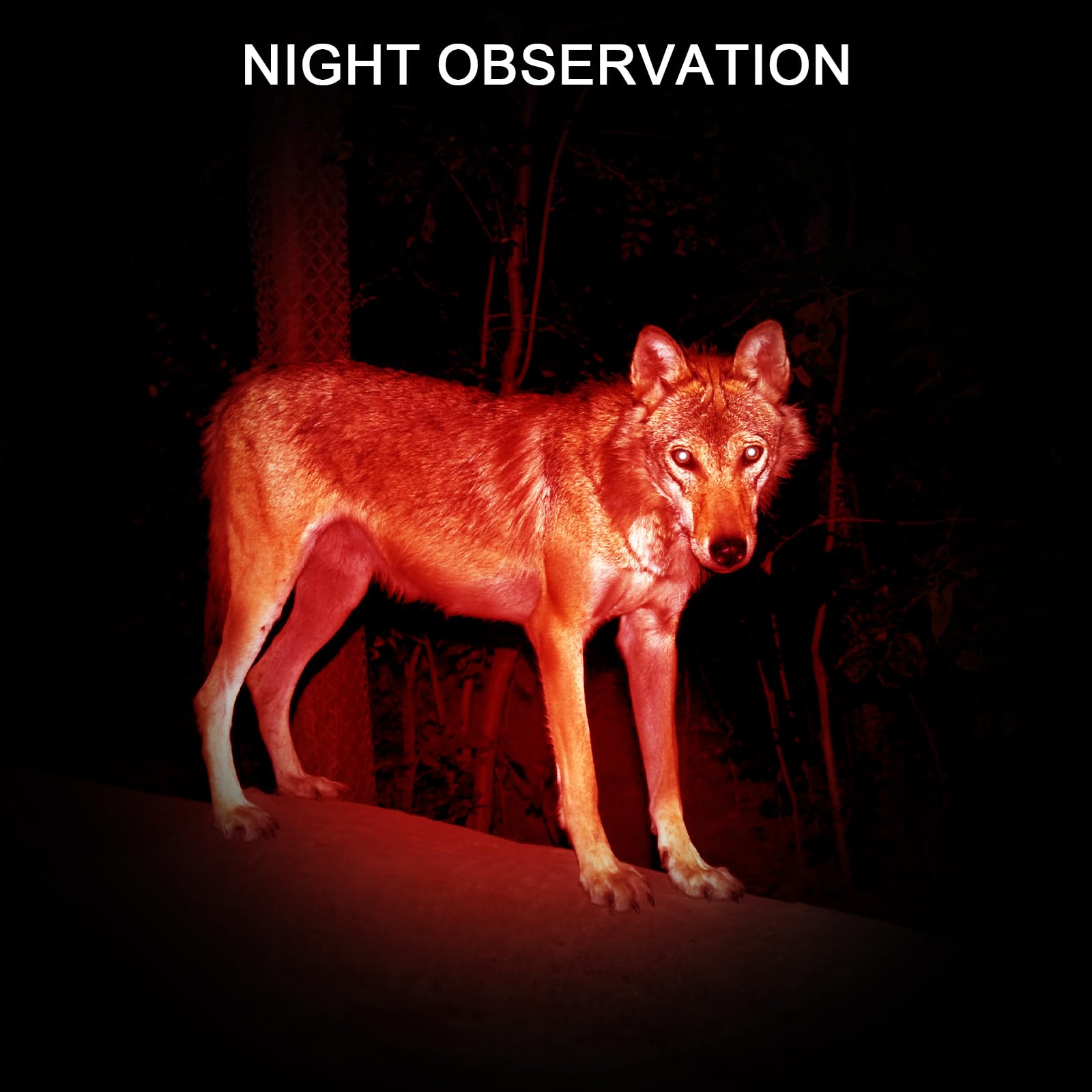 Beieverluck red flashlight used outdoors for night activities like hiking.