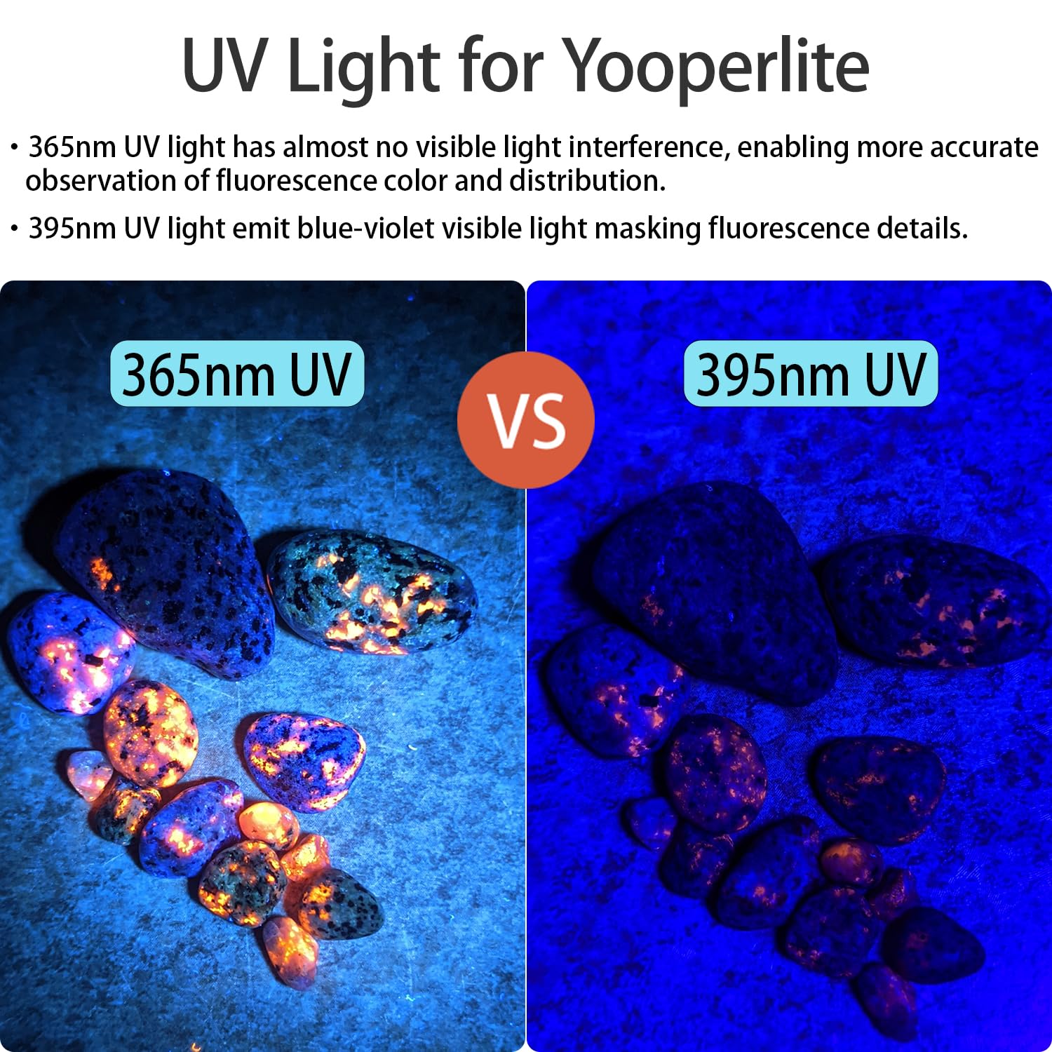 BellaaMm C10 in pet urine detection scenario reveals hidden stains under UV illumination.