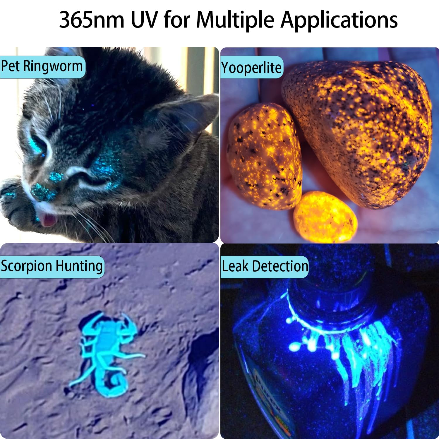 BellaaMm C10 UV glow demonstration shows pure 365nm light for clear fluorescence.