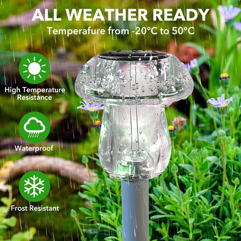 Benany mushroom light walkway defines yard with efficient, warm illumination.