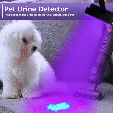 Benss UV black light detects bed bug signs in bedding and luggage