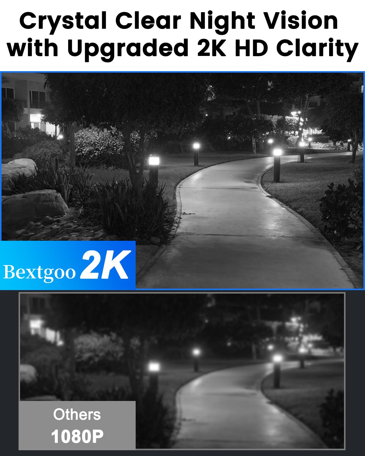 Bextgoo night vision mode provides readable footage in low light