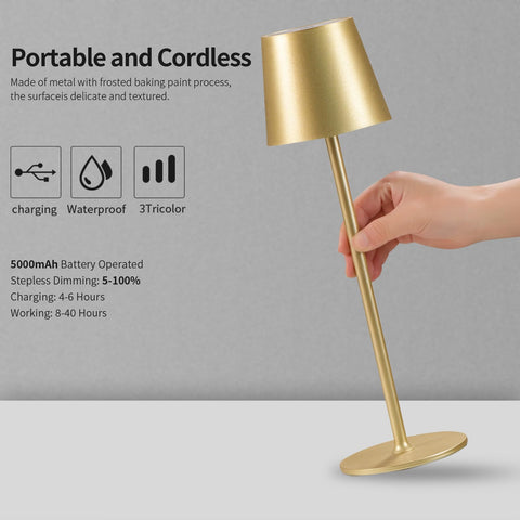 BGFHome touch-top sensor provides quick brightness and color adjustments.