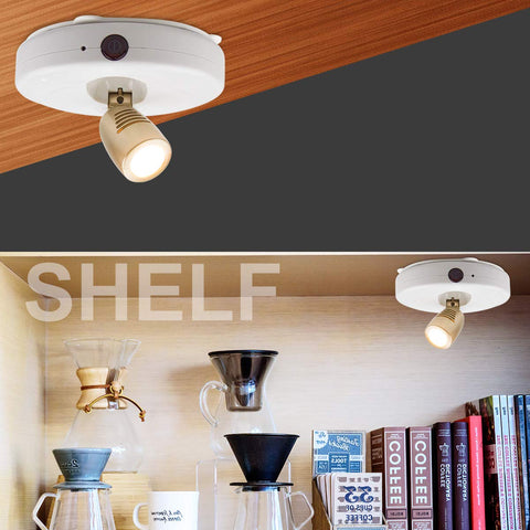 BIGLIGHT ideal lighting for closets, bookcases, and art displays.