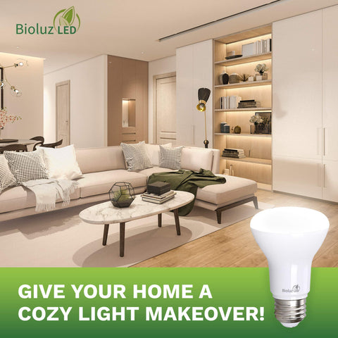 Bioluz LED BR20 bulb outdoor wall light showcases weather-friendly performance indoors or outdoors.