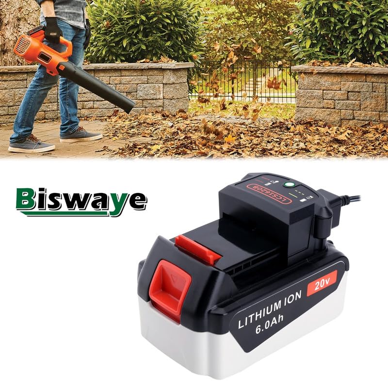 Biswaye US 110V-120V input for convenient US power connections