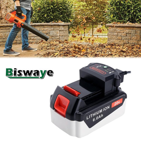 Biswaye US 110V-120V input for convenient US power connections