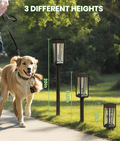 BITPOTT auto-on-off solar lights simplify nightly use.