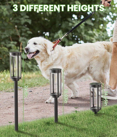 BITPOTT pathway lamps boost curb appeal along walkways and patios at night.