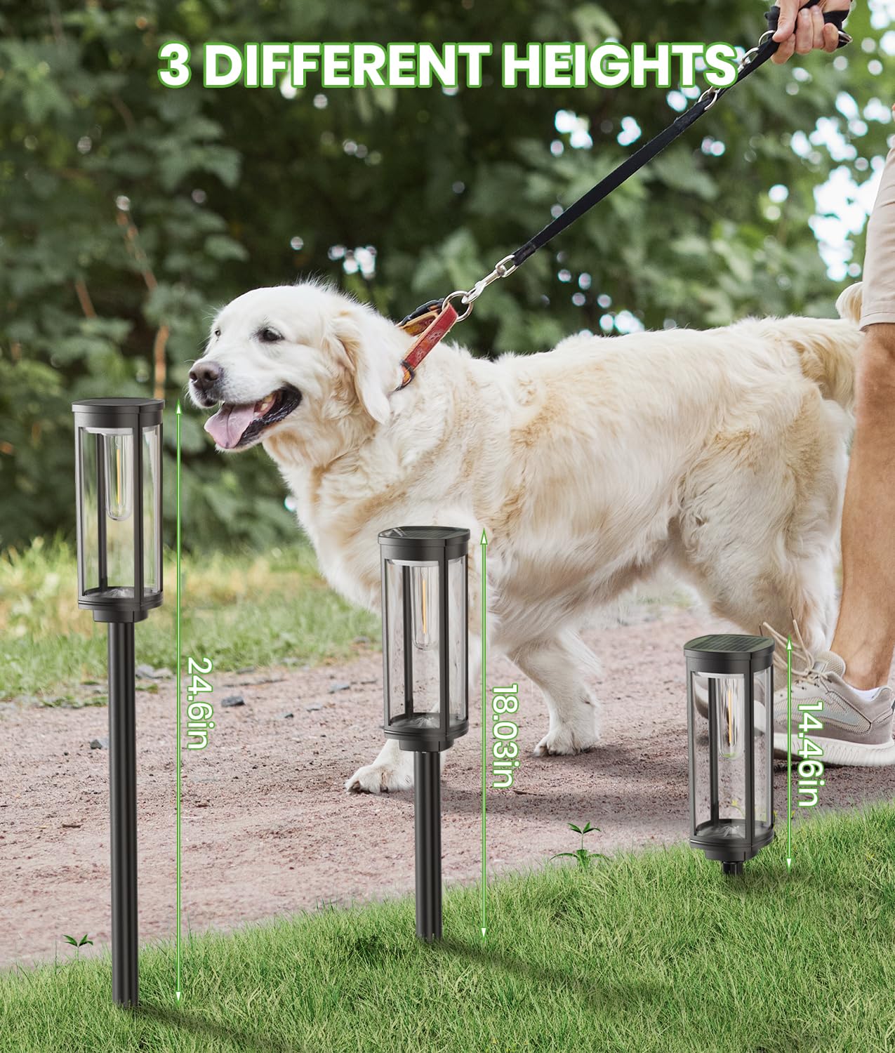 BITPOTT solar yard lamp design enhances landscape appeal