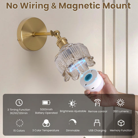 BlesULuk dimmable LED beads delivering soft eye-friendly lighting