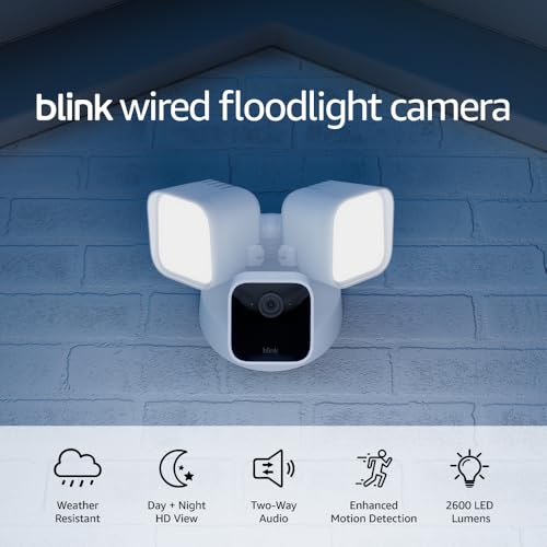 Blink with Alexa integration enables hands-free streaming and control of security features