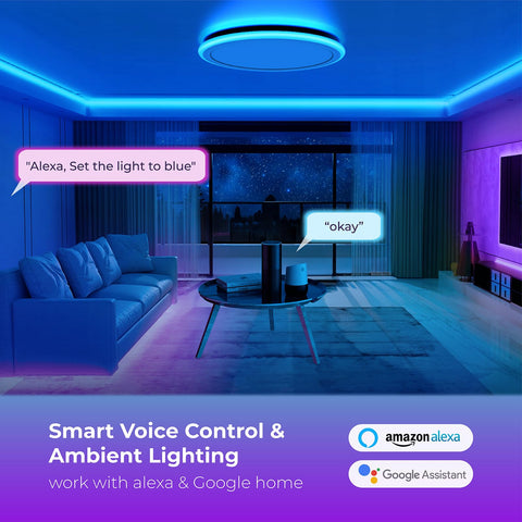 BLNAN RGB ring and center light for immersive color and brightness
