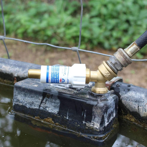 Blue Penguin Y connector brass three-quarters shows flexible water routing for troughs.