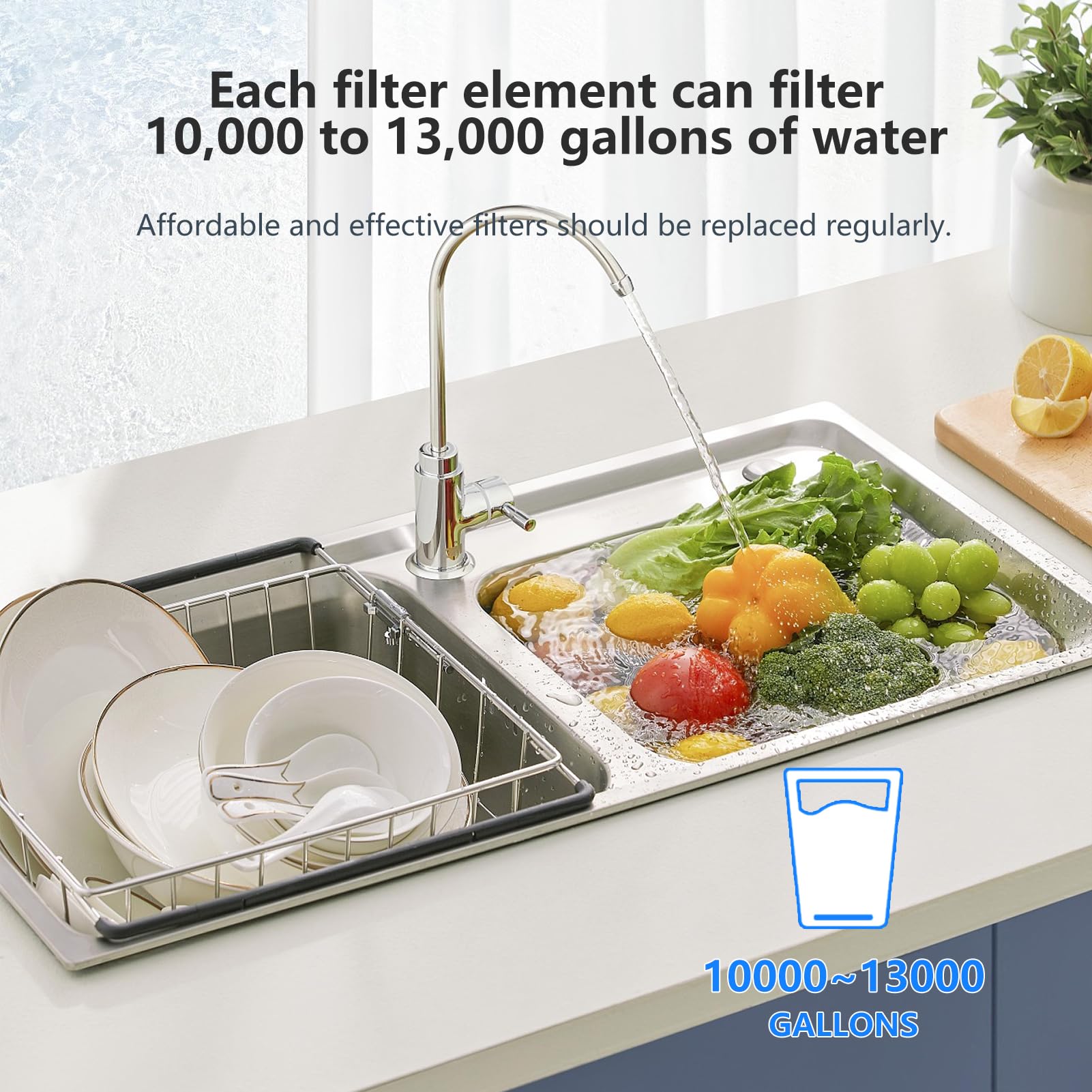 BLUERISE capacity range shows potential gallon filtration.