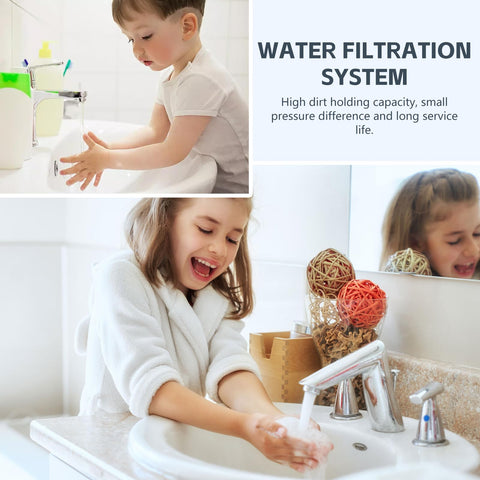 BLUERISE home filtration setup maintaining system efficiency.