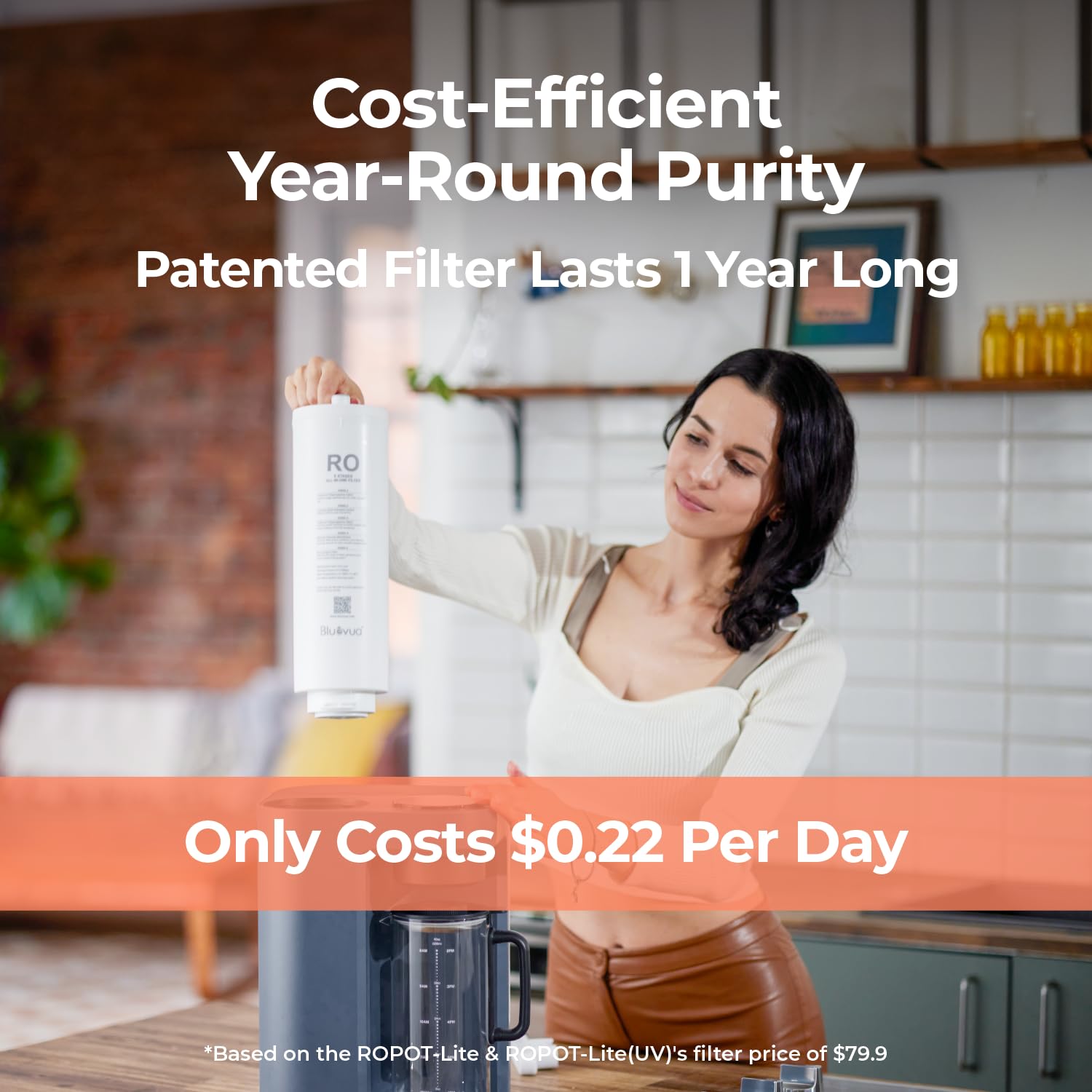 Bluevua replacement filter exchange ease highlights quick, tool-free cartridge swap.