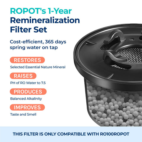 Bluevua filter installation setup shows easy RO100ROPOT remineralization integration.