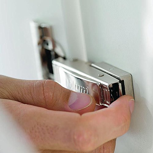 Installed Blum Clip Top 110 Degree hinge on a face-frame cabinet for quiet, smooth operation
