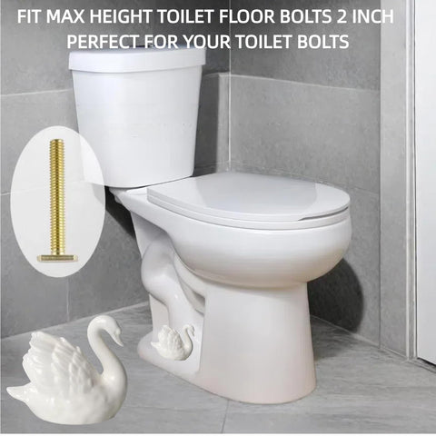 Bnrkmeb White Swan bolt cap installed on a standard toilet
