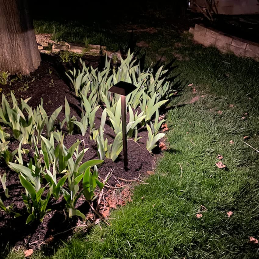 Bobcat Lighting yard edge illumination highlighting borders