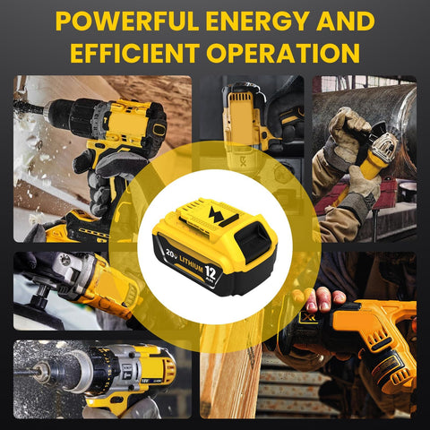 Boetpcr Dewalt 20V battery storage guidance to preserve life.
