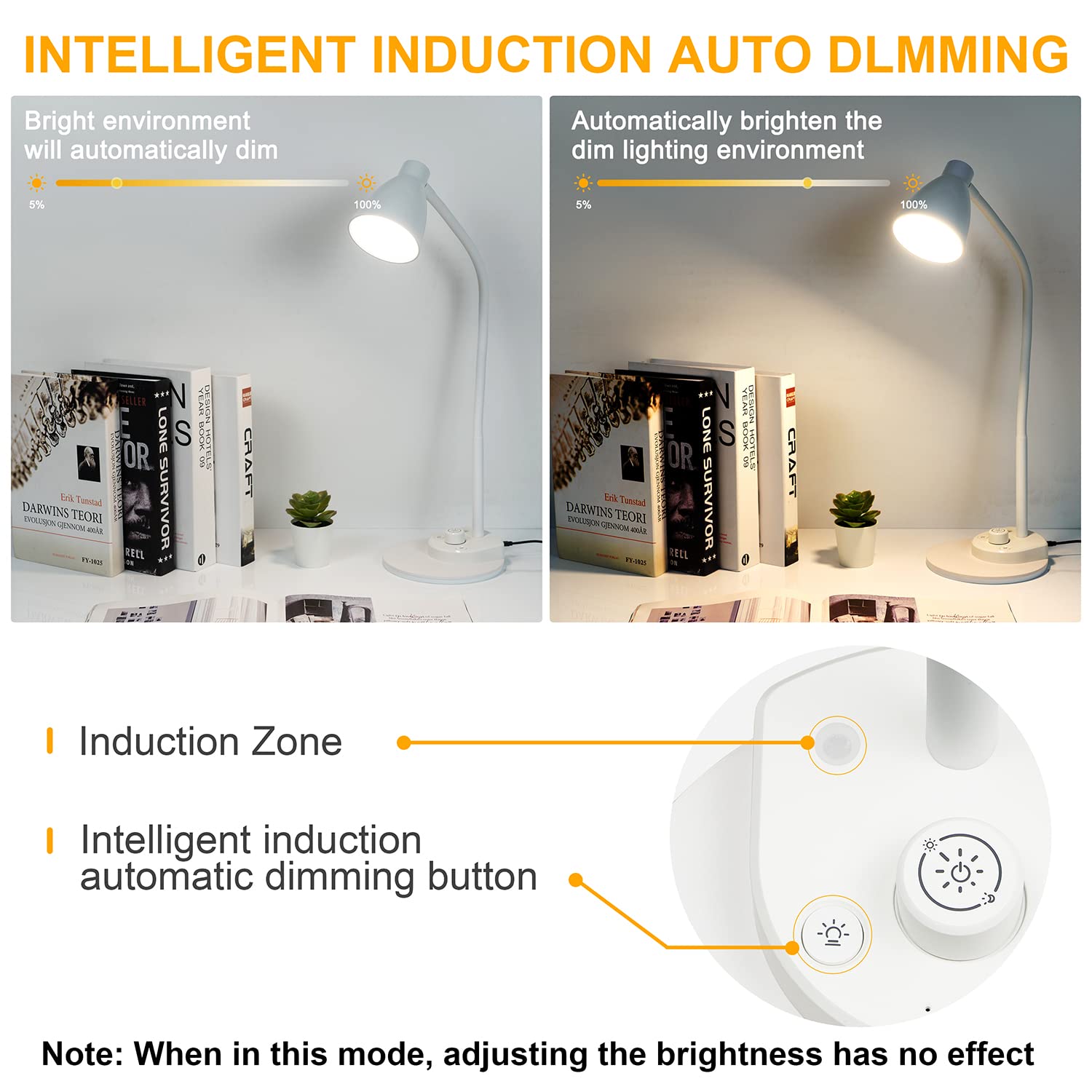 BOHON Desk Lamp features sturdy metal construction for durability.