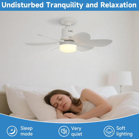 BOKELUNA Socket Fan Light cool-6500k reveals bright, crisp task lighting