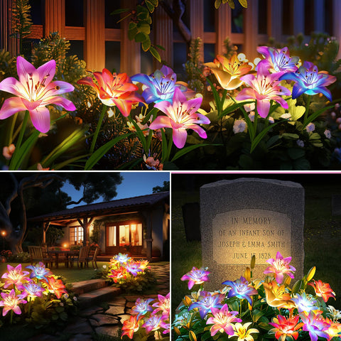 BOMIER solar pathway lights create inviting illumination for driveways and steps.