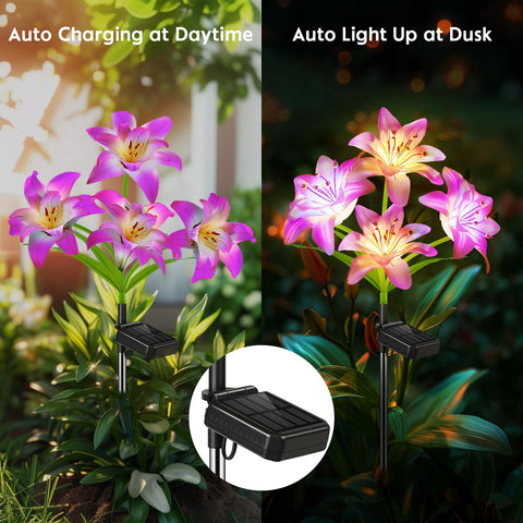 BOMIER waterproof solar garden lily light performs in rain or shine.