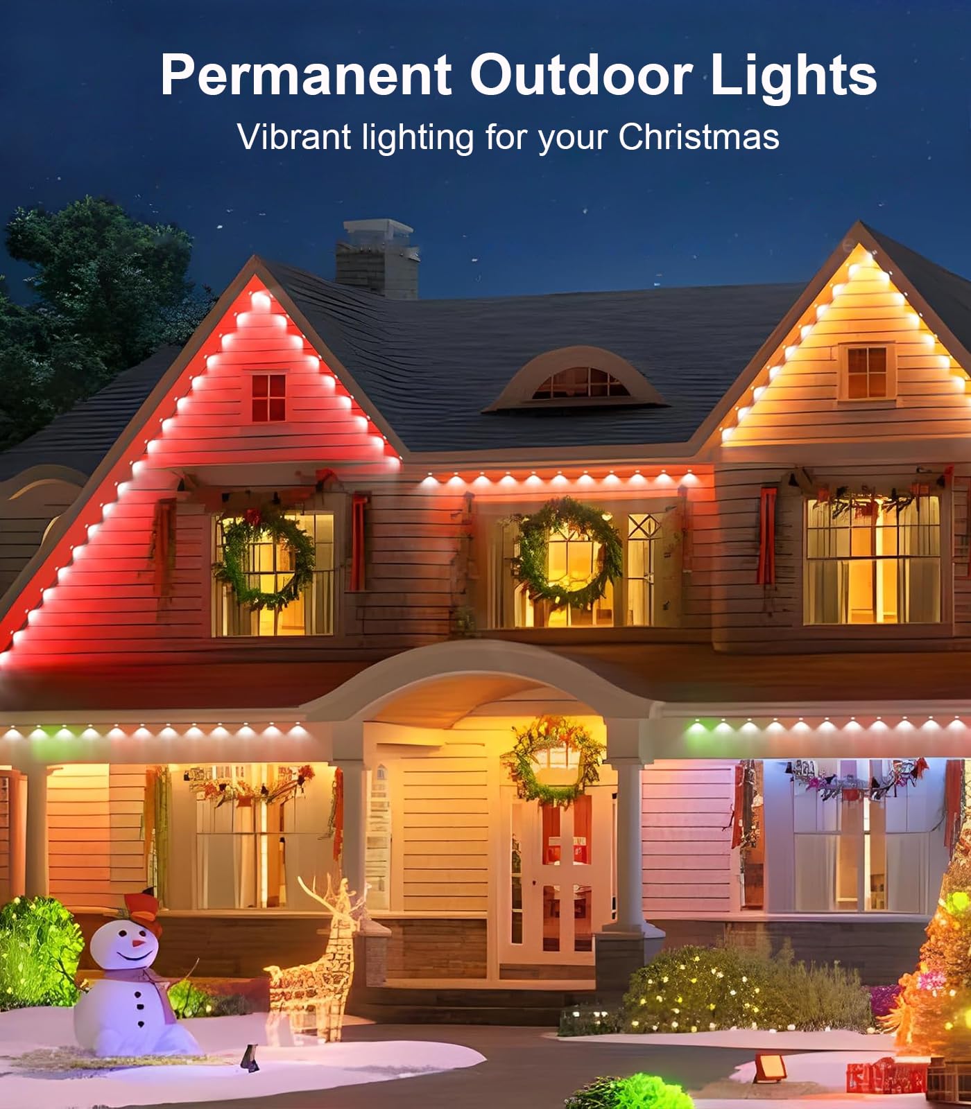 Bonve Pet IP67 waterproof LEDs stay bright through rain and snow.