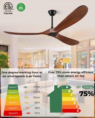 BOOSANT DC motor delivers energy efficiency and strong airflow
