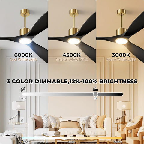 Ambient lighting colors highlight mood-boosting warm to daylight tones