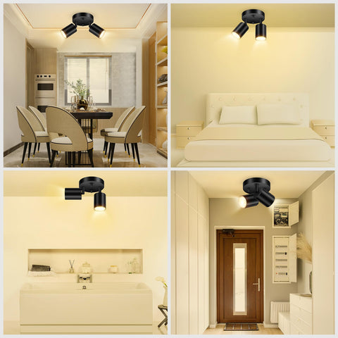 BoostArea lighting suitable for living rooms, hallways, and art displays
