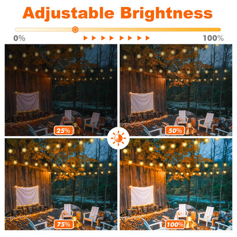 Bosceos 3CCT dimmable lighting to set the right mood.