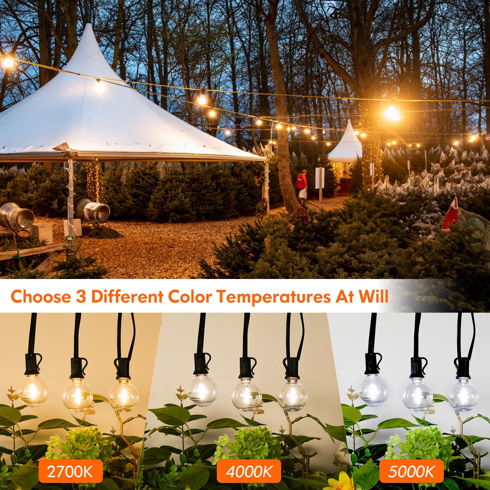 Bosceos G40 globe bulbs waterproof for all-weather outdoor use.