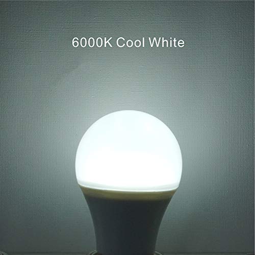 Boxlood indoor-outdoor compatibility for versatile lighting across spaces