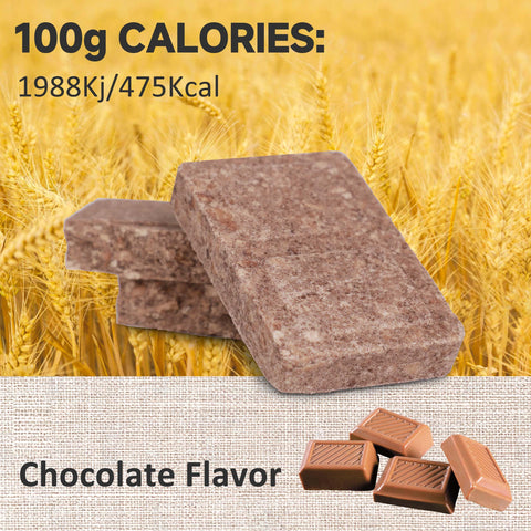 900 Emergency Food Bars Chocolate Hardtack 20-year shelf life stored in a cool, dry place.