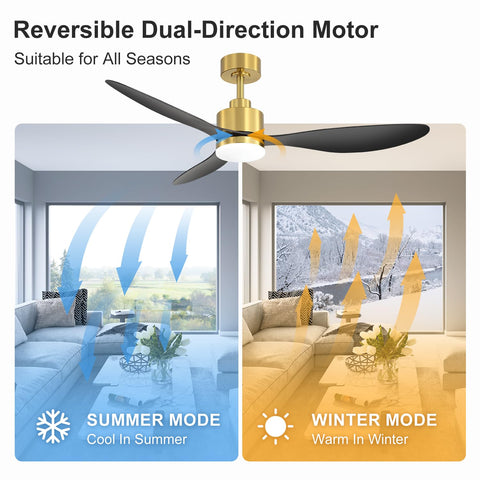 Breezary remote control operation for easy lighting and fan speed adjustments.