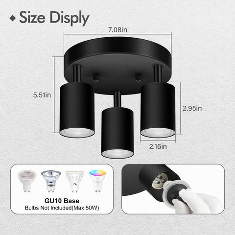 Bricosmocon matte black finish track adds modern style to any room.
