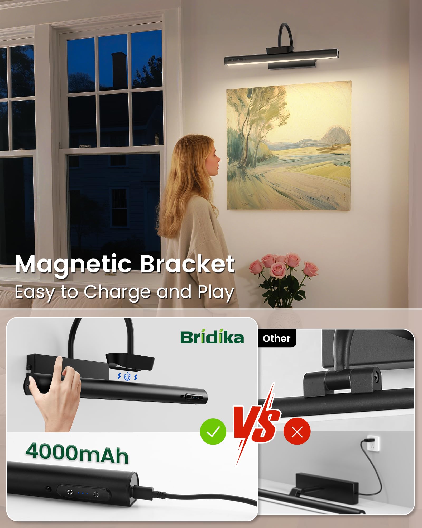 Bridika picture light color-temperature-options for customizable mood lighting.