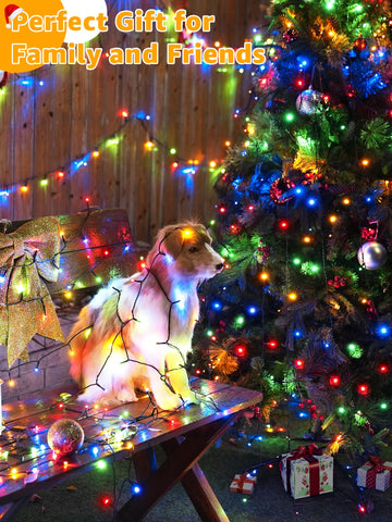 BrightChristmas multicolor lights enable festive outdoor ambiance.