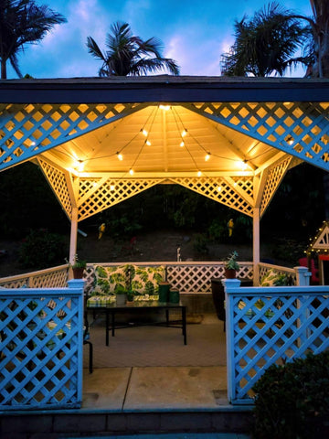 Brightech Ambience Pro two-year warranty for added peace of mind