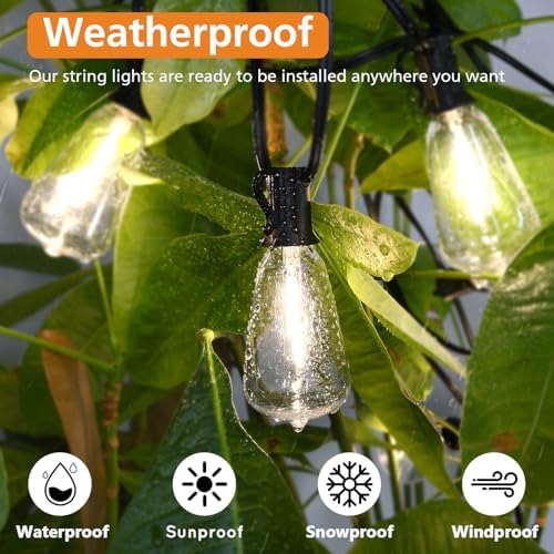 Brightever Edison-style bulbs highlight retro charm with energy efficiency.